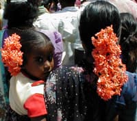 Flowers in the Hair